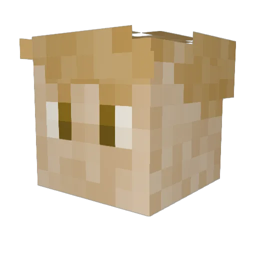 Tymson27 Minecraft avatar head, 3D render
