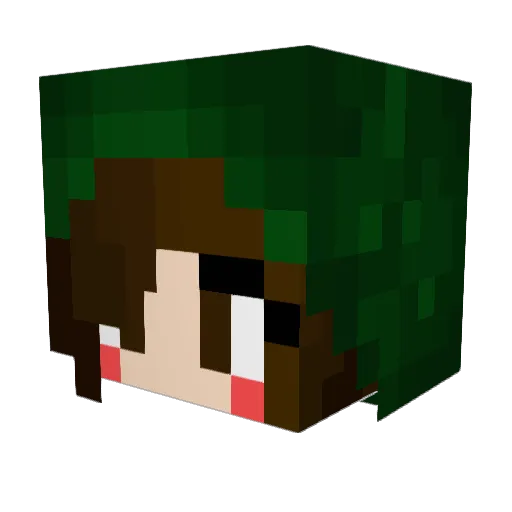 Tynnaa4 Minecraft avatar head, 3D render