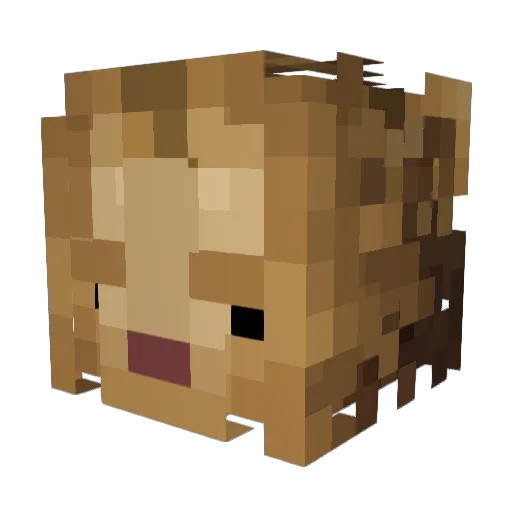 Tyoukonn Minecraft avatar head, 3D render