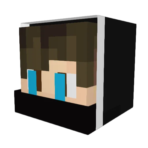 TypeBLVCK Minecraft avatar head, 3D render