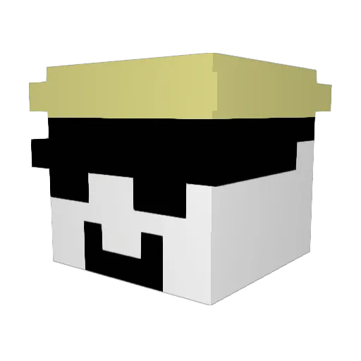 Typek154 Minecraft avatar head, 3D render