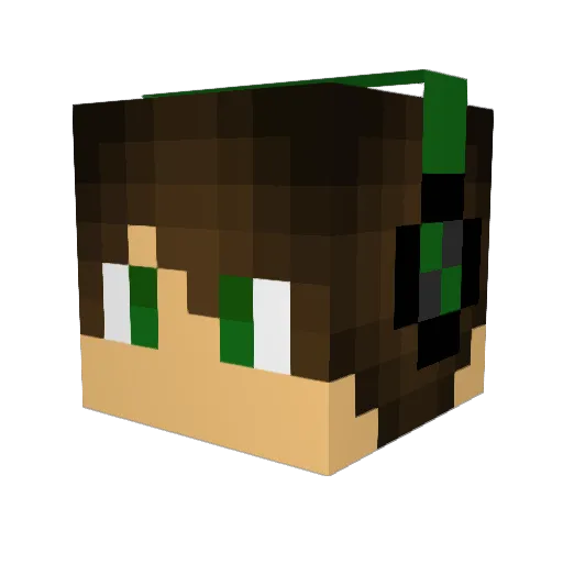 Typek444 Minecraft avatar head, 3D render