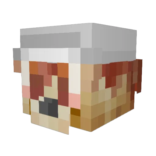 Typel_ Minecraft avatar head, 3D render
