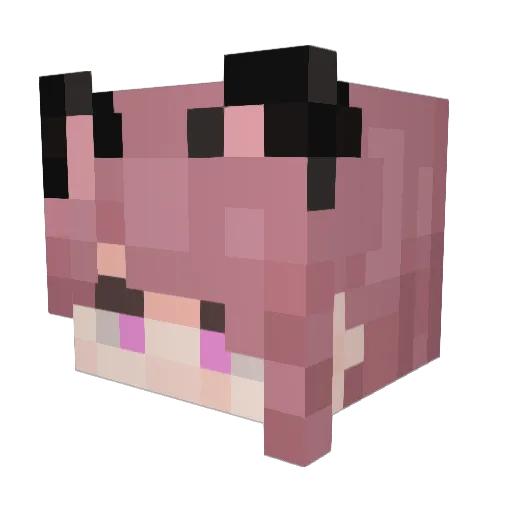 Typera Minecraft avatar head, 3D render