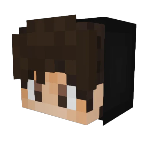 Typh09 Minecraft avatar head, 3D render