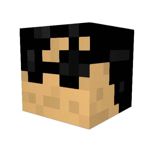 Typhaonn Minecraft avatar head, 3D render