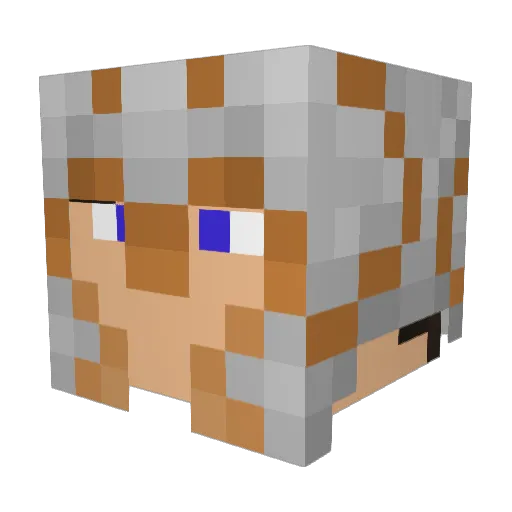 TypherSupply Minecraft avatar head, 3D render