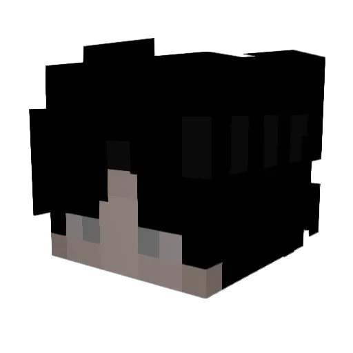 Typhoon1232 Minecraft avatar head, 3D render