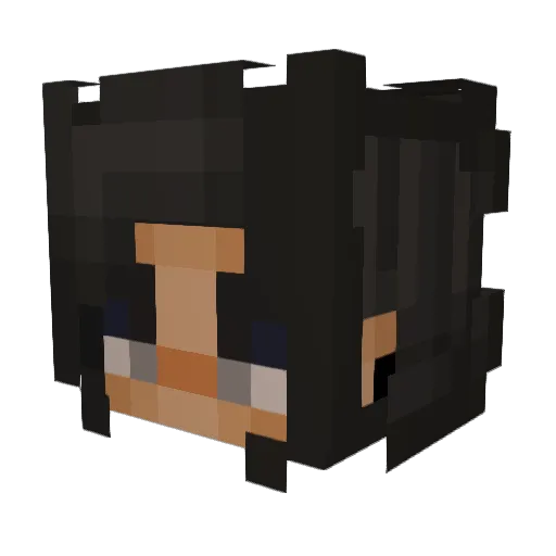 Typhoon12345 Minecraft avatar head, 3D render
