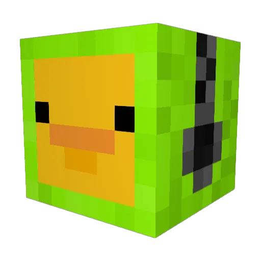 Typhoon3311 Minecraft avatar head, 3D render