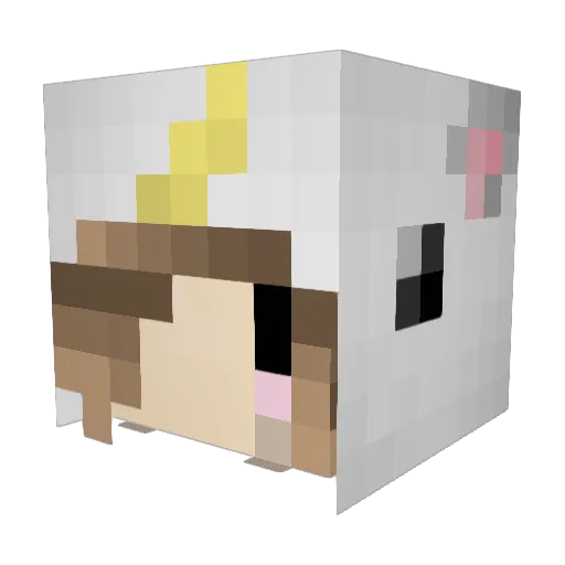 Typhoon_smile Minecraft avatar head, 3D render