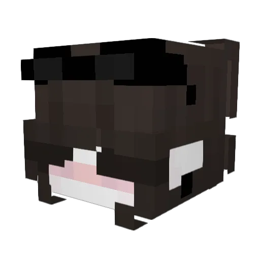Typicaalx Minecraft avatar head, 3D render