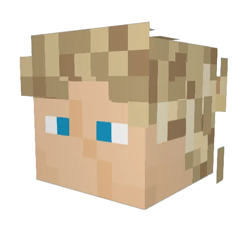 TypicalBostonian Minecraft avatar head, 3D render