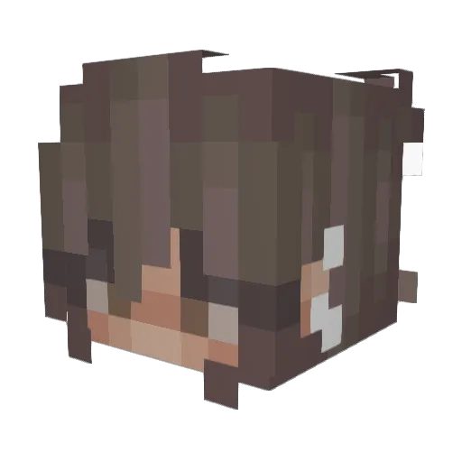 TypicalGirl7 Minecraft avatar head, 3D render