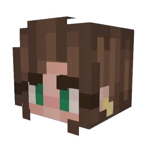 TypicalHailey Minecraft avatar head, 3D render