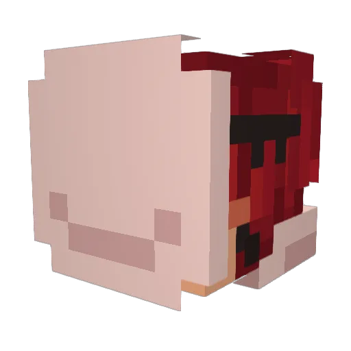 TypicalKrisis Minecraft avatar head, 3D render