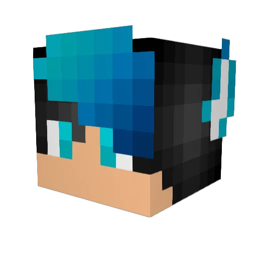 TypicalLegend200 Minecraft avatar head, 3D render