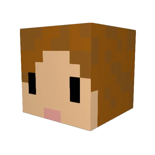 TypicalSarah Minecraft avatar head, 3D render