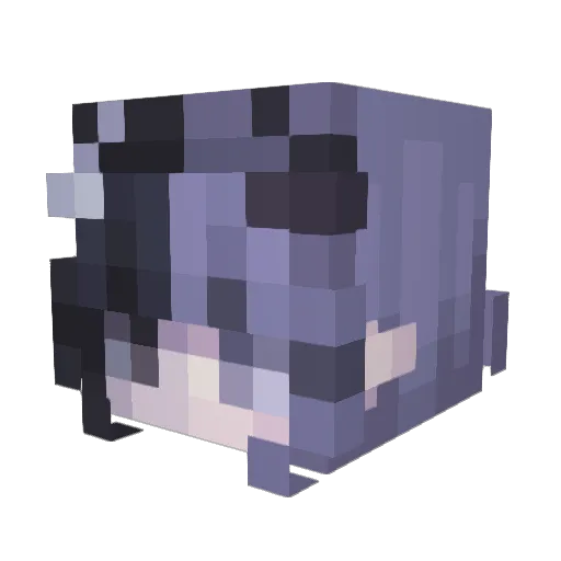 TypicalSquid Minecraft avatar head, 3D render