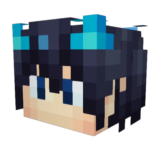TypicalWolf2154 Minecraft avatar head, 3D render