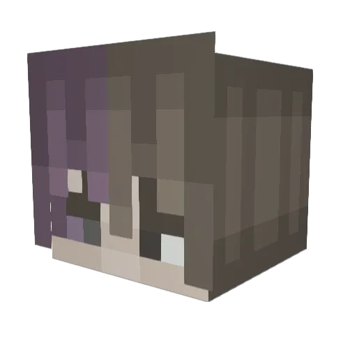Typicalson Minecraft avatar head, 3D render