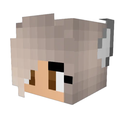 TypischNetty Minecraft avatar head, 3D render