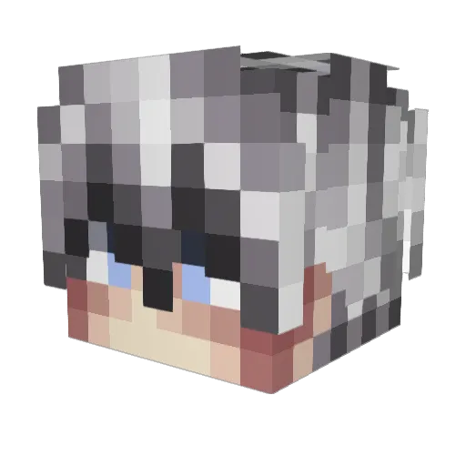 Typke Minecraft avatar head, 3D render