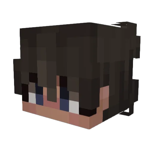 Typllsch Minecraft avatar head, 3D render