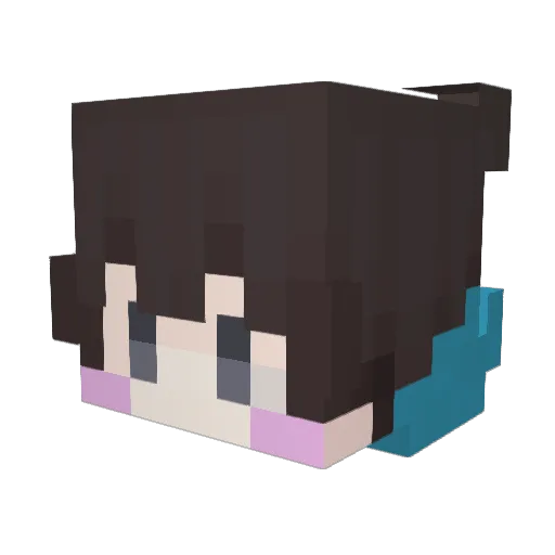 Typn318 Minecraft avatar head, 3D render