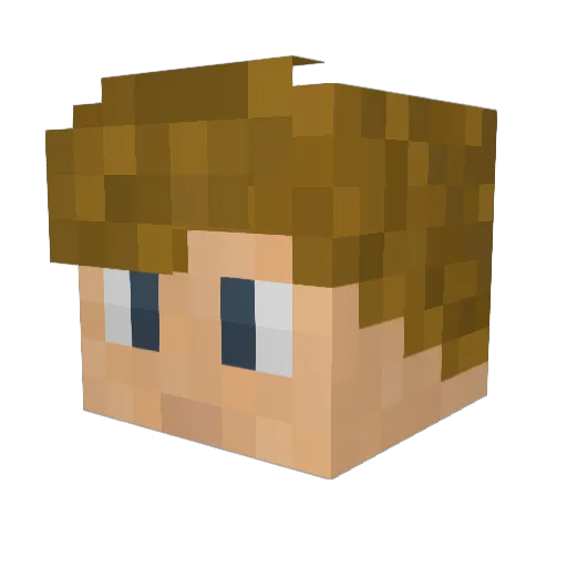 Typo2210 Minecraft avatar head, 3D render