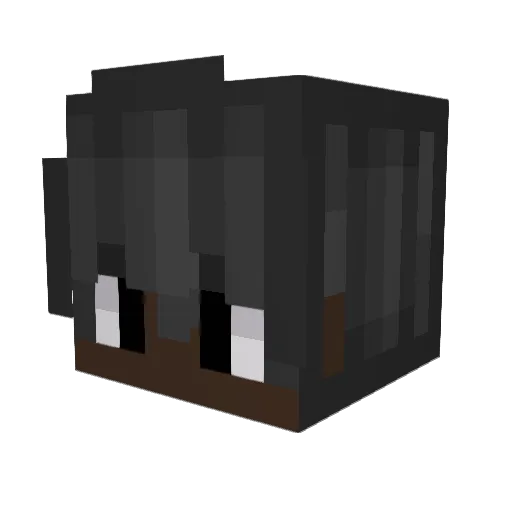 TypoNamer Minecraft avatar head, 3D render