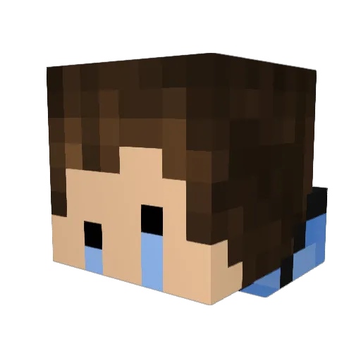TypoTypes Minecraft avatar head, 3D render