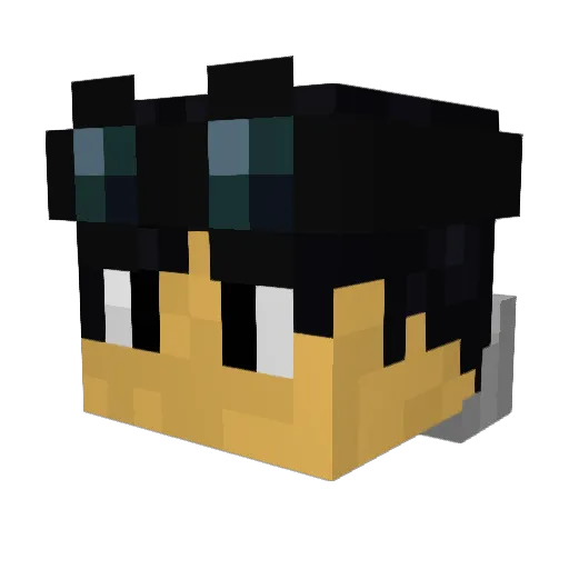 Typoleon Minecraft avatar head, 3D render