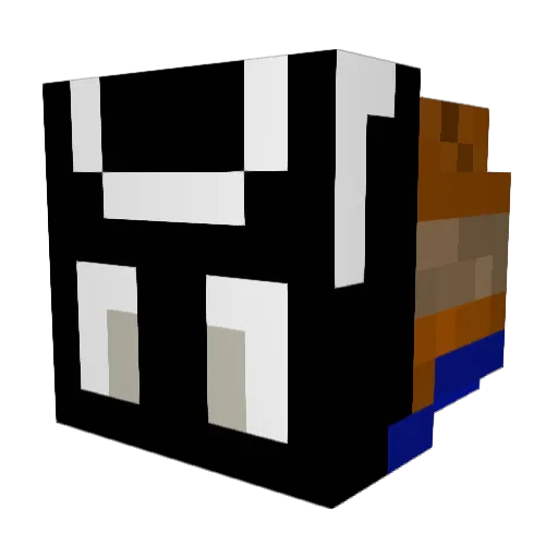 Tyr_Nova56 Minecraft avatar head, 3D render