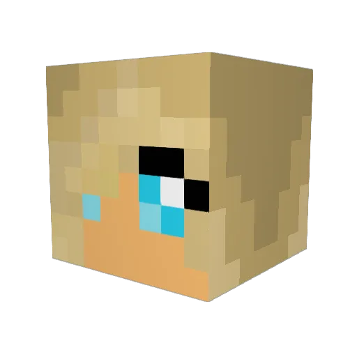 Tyrac02 Minecraft avatar head, 3D render