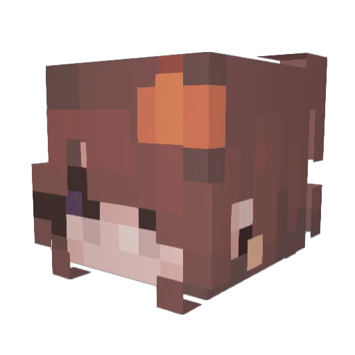 Tyrallia Minecraft avatar head, 3D render