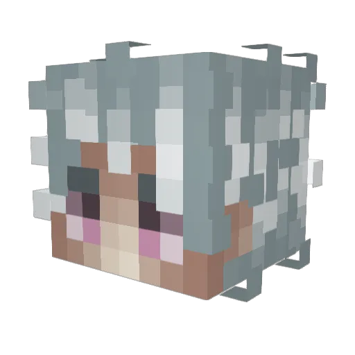 Tyranik Minecraft avatar head, 3D render