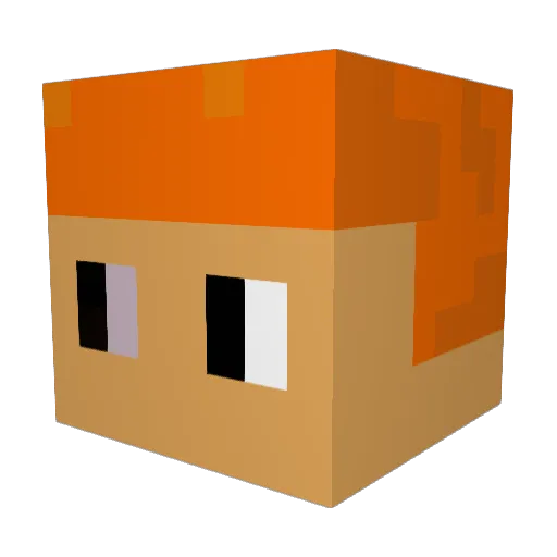 Tyrant2248 Minecraft avatar head, 3D render