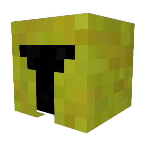 Tyrant46 Minecraft avatar head, 3D render