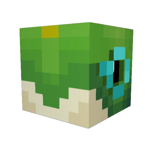 Tyrantlizard33 Minecraft avatar head, 3D render
