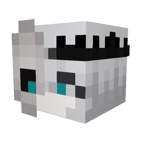 Tyrianitor4 Minecraft avatar head, 3D render