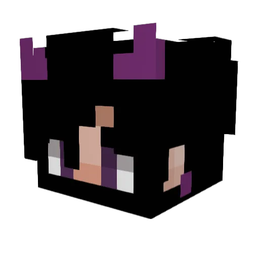 Tyrnfish2 Minecraft avatar head, 3D render