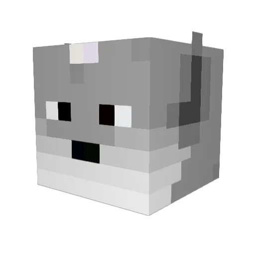 Tyrone771 Minecraft avatar head, 3D render