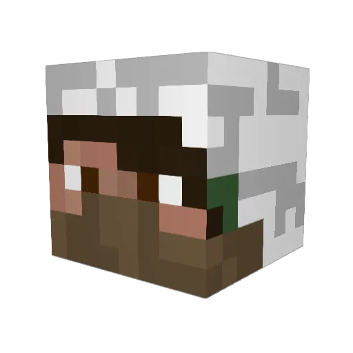 Tyrrol Minecraft avatar head, 3D render