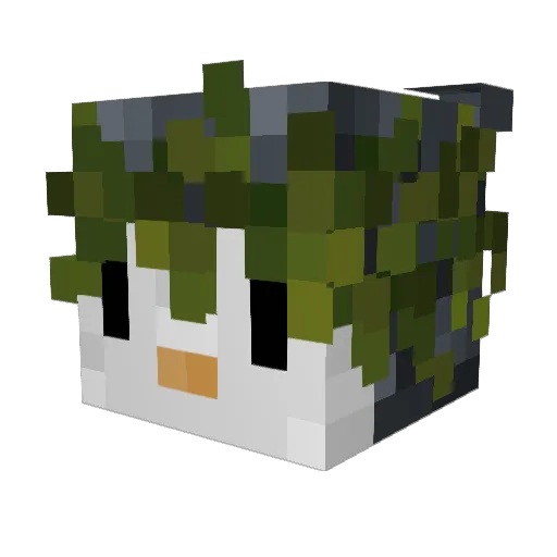 Tyrtje Minecraft avatar head, 3D render