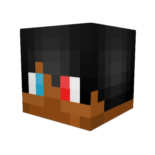 Tysheeze Minecraft avatar head, 3D render
