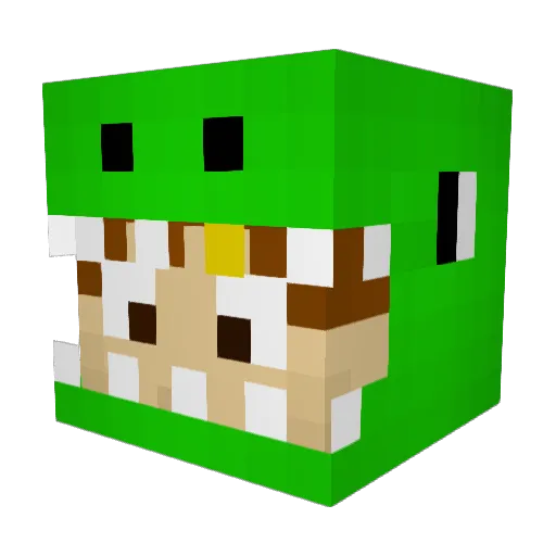 TysoLoo Minecraft avatar head, 3D render