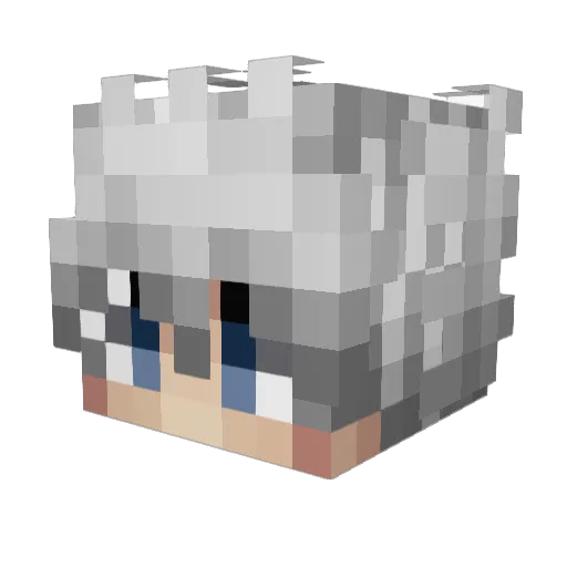 Tyson312 Minecraft avatar head, 3D render