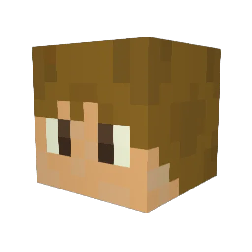 Tyson905 Minecraft avatar head, 3D render