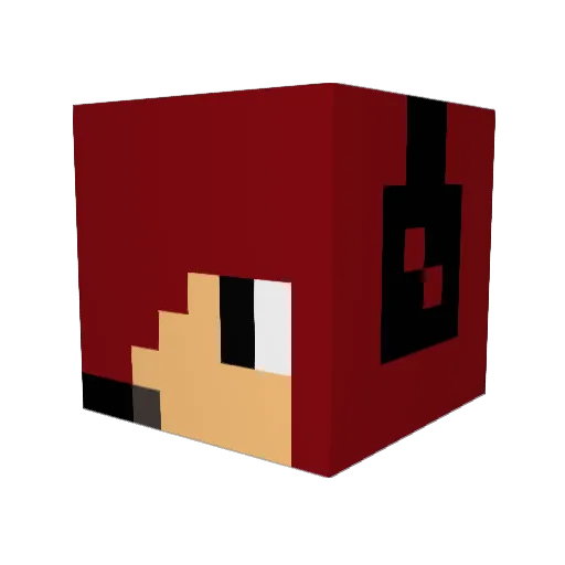 Tyster1211 Minecraft avatar head, 3D render